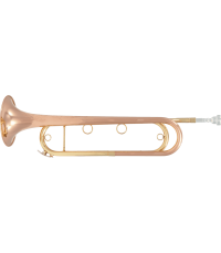 Trompette SML Mi ♭ FTPC91-L