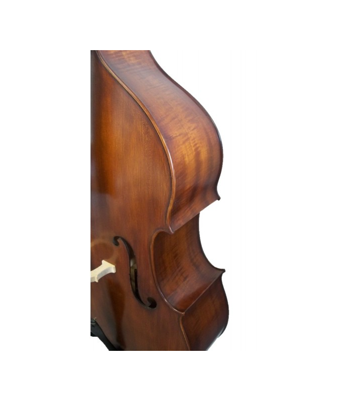 MDD MODELO DE BAJO 1/8