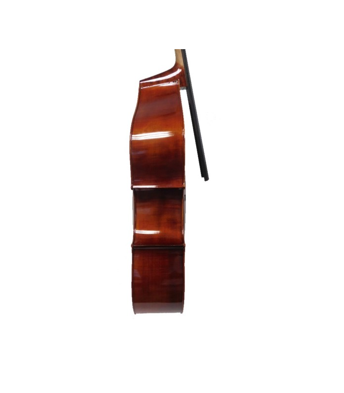 Contrebasse PASSION TRADITION  3/4 MASSIVE