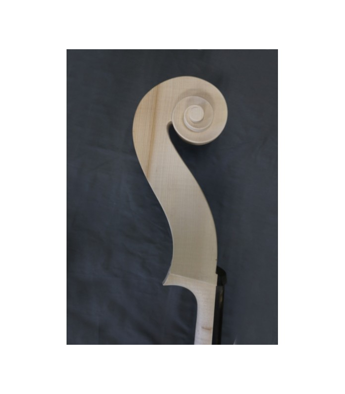 Contrebasse MDD  3/4 BLANCHE - MADE IN EUROPE - HAUTE QUALITE (RO-BA-BLANC)