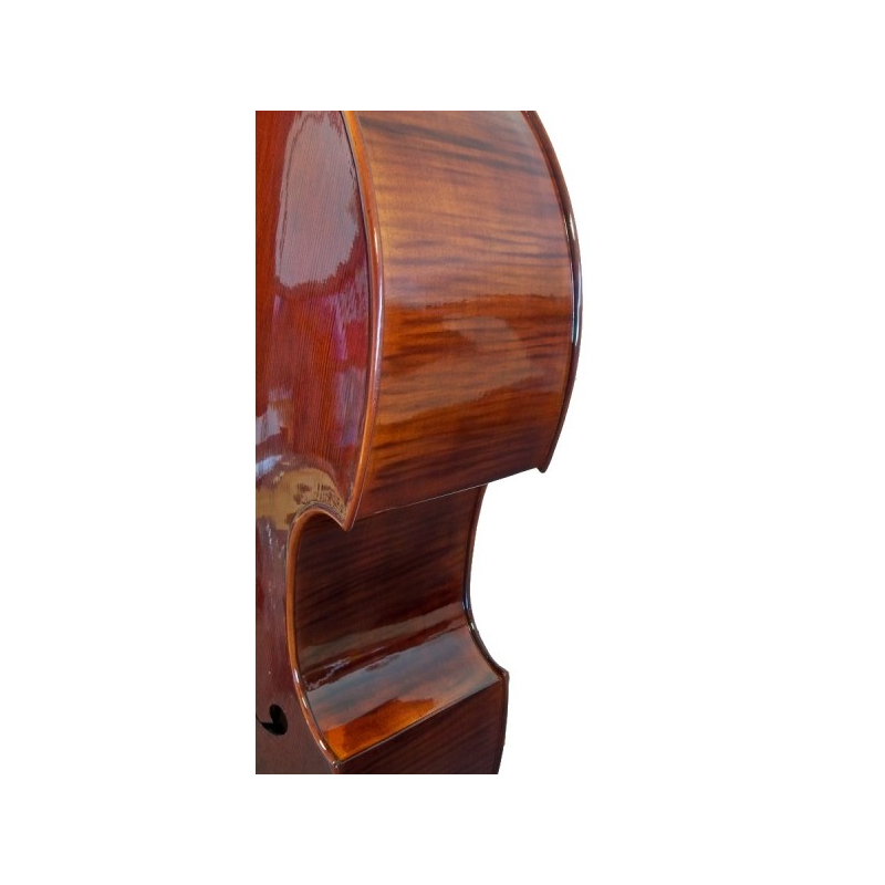 Contrebasse STENTOR  3/4 MODÈLE GRADUATE CONSERVATOIRE MASSIVE B1420-3