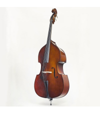 Contrebasse STENTOR  1/4 STUDENT I B1950-1