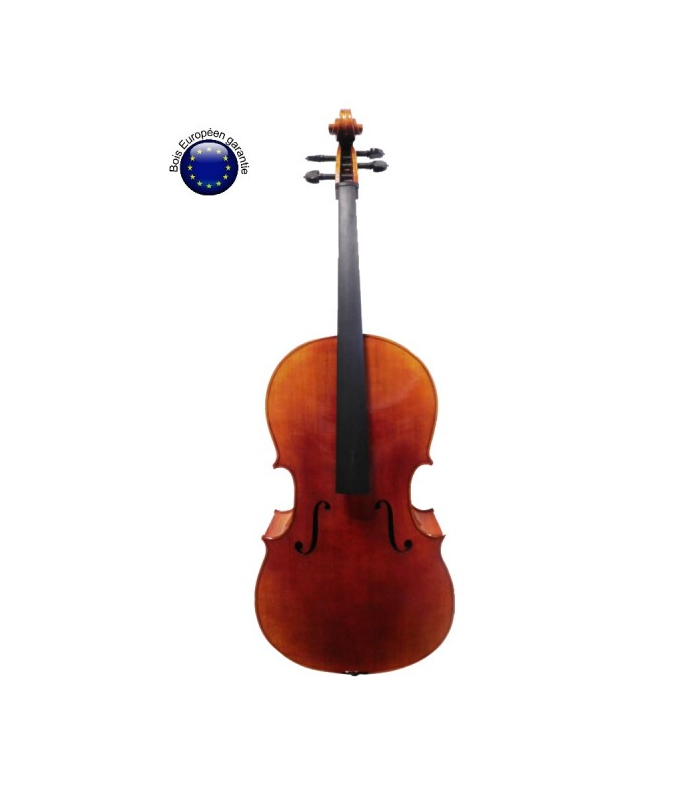 PASSION TRADITION VIOLONCHELO 4/4 STRAD CE01