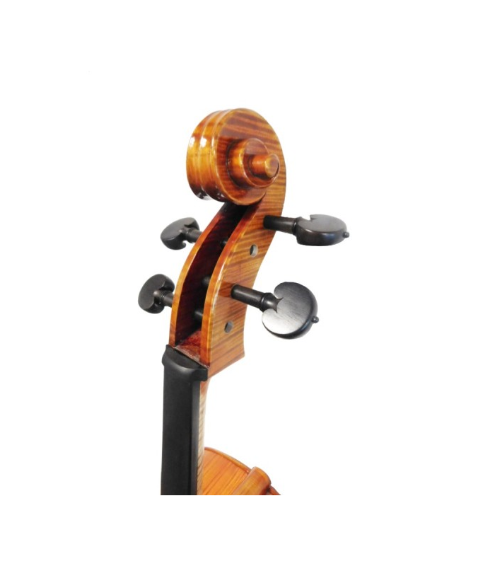 PASSION TRADITION VIOLONCHELO 4/4 STRAD CE01