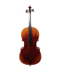 PASSION TRADITION VIOLONCHELO 4/4 CE01-A
