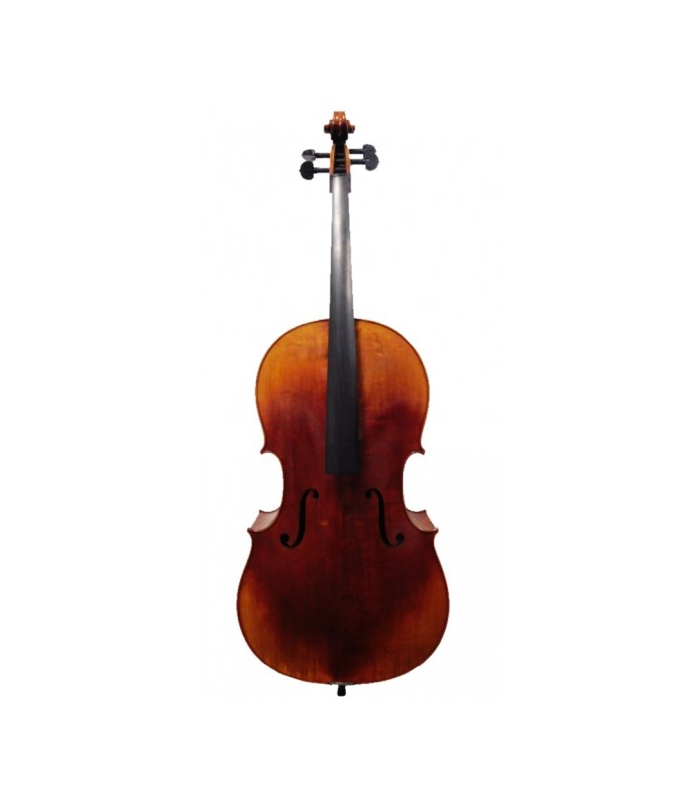 PASSION TRADITION VIOLONCHELO 4/4 CE01-A