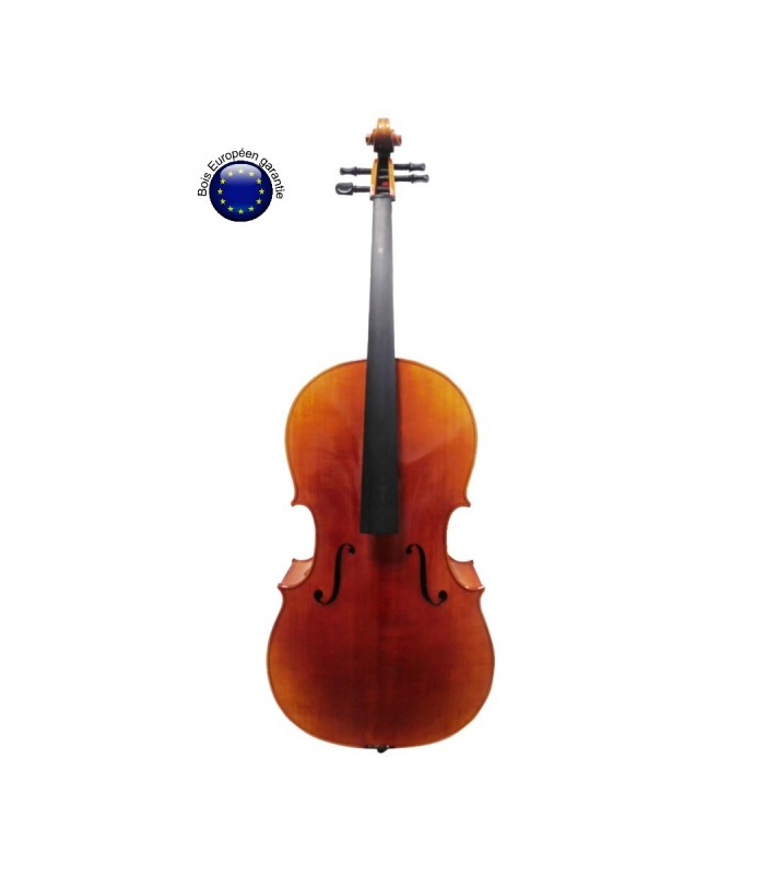 PASSION TRADITION VIOLONCHELO 4/4 CE02-EUROPA