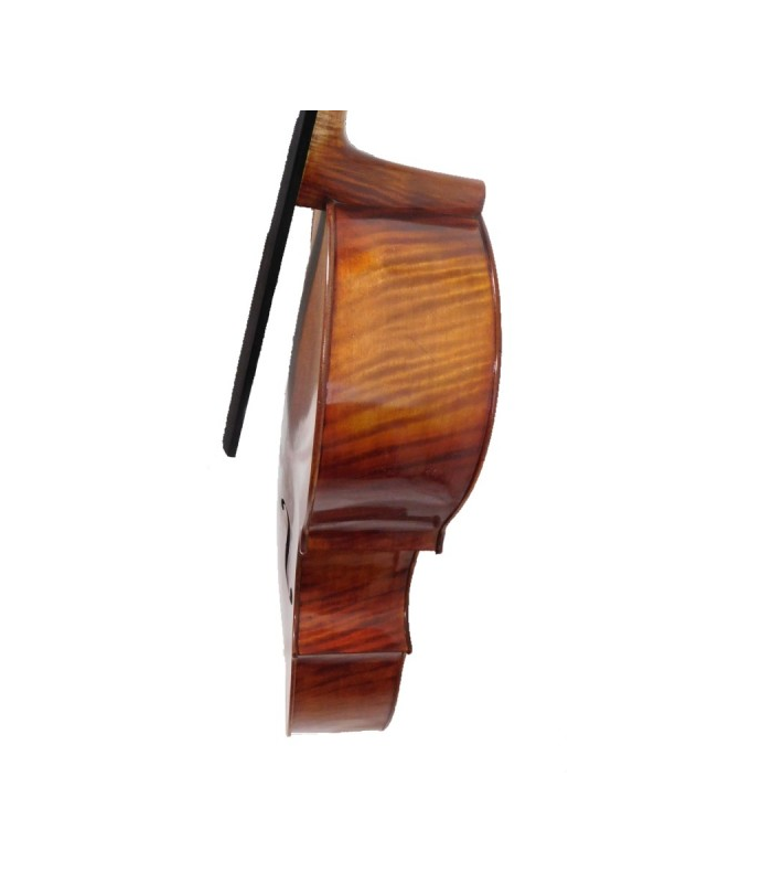 PASSION TRADITION VIOLONCHELO 7/8 CE01-7-A