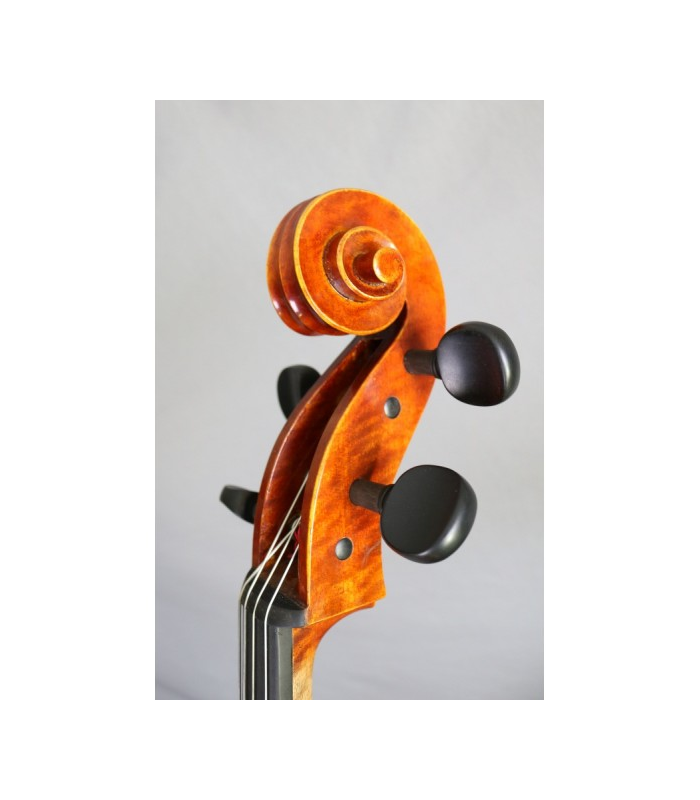 Violoncelle RG-EVIOLINS  ÉLECTRIQUE 4/4 CLC04