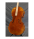 PASSION TRADITION VIOLONCHELO BARROCO 4/4 CEB-1