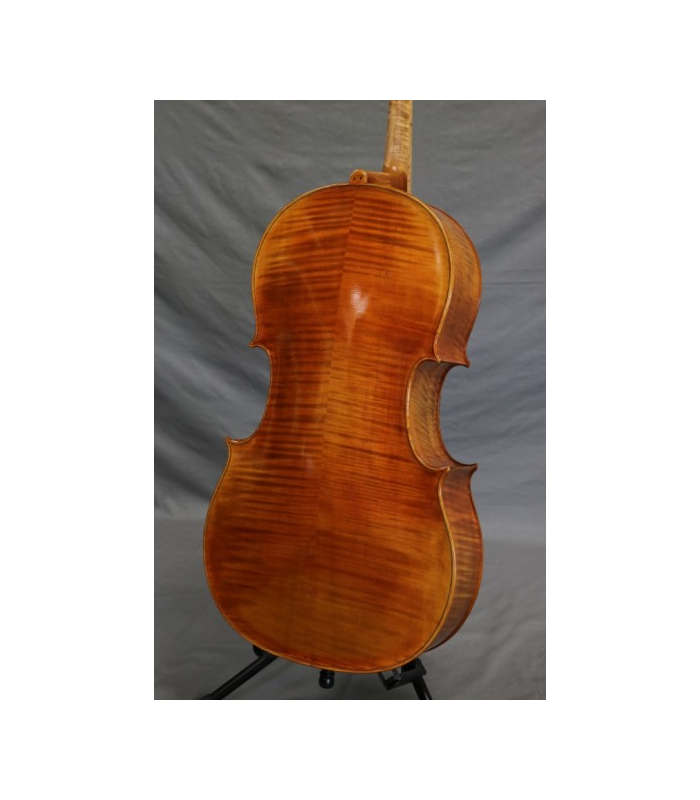 PASSION TRADITION VIOLONCHELO BARROCO 4/4 CEB-1