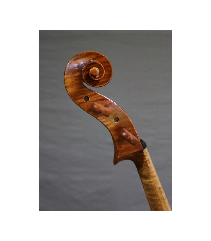 PASSION TRADITION VIOLONCHELO BARROCO 4/4 CEB-1