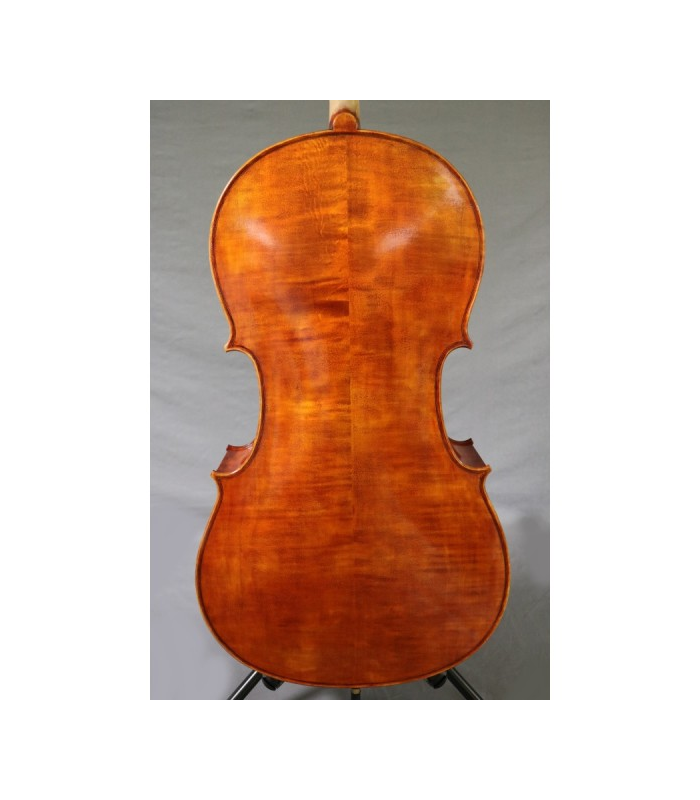 Violoncelle JS INSTRUMENTS  4/4 Qualité B