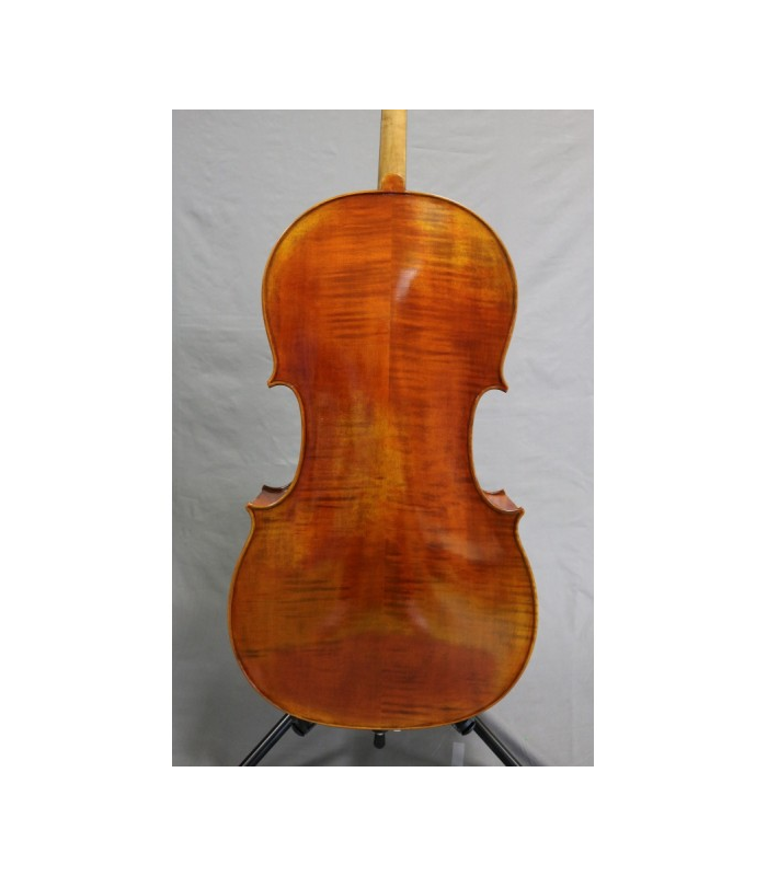 Violoncelle ALCALYA  4/4 MODÈLE CELANO