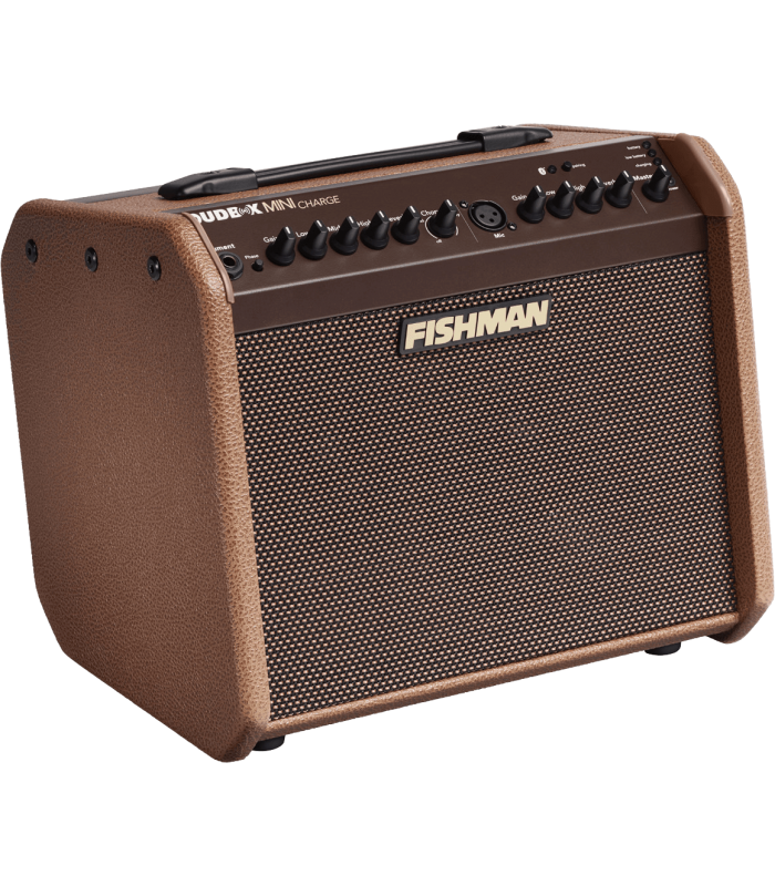 Amplificador Bluetooth para instrumentos acústicos FISHMAN Loudbox Mini Charge