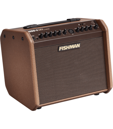 Ampli Bluetooth pour instrument acoustique FISHMAN Loudbox Mini Charge