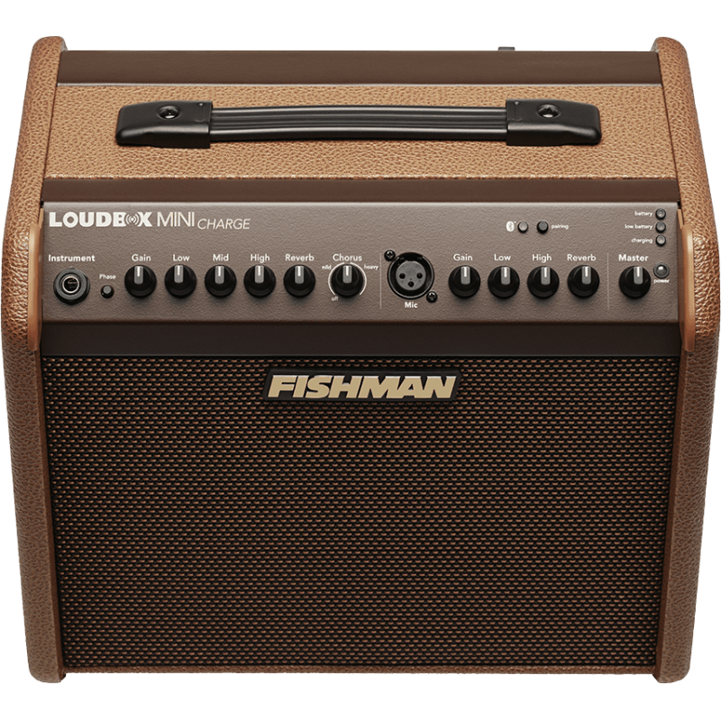 Ampli Bluetooth pour instrument acoustique FISHMAN Loudbox Mini Charge