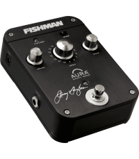 Effets pour guitare FISHMAN PROAIPJD1