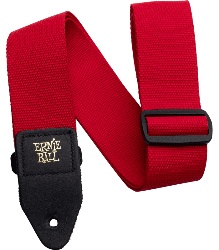 ERNIE BALL 4040