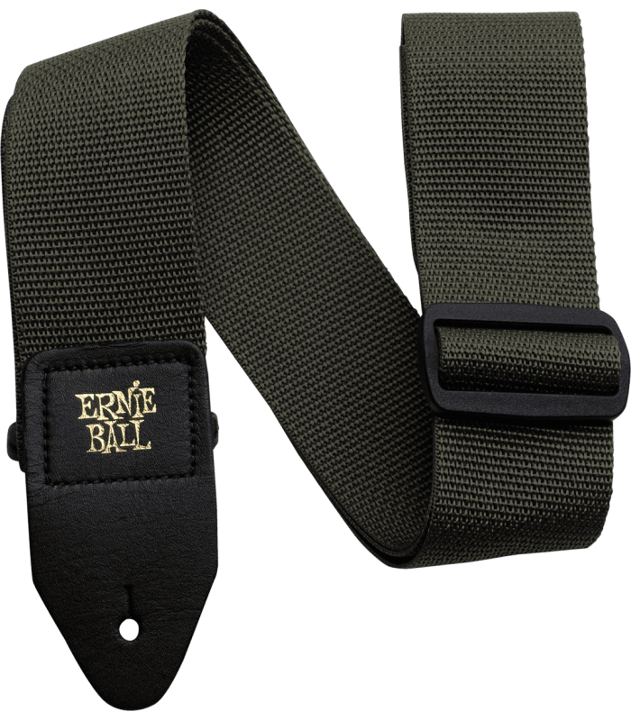 ERNIE BALL  4048