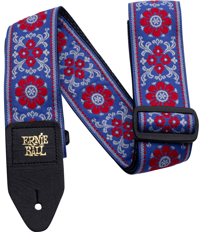ERNIE BALL  4107