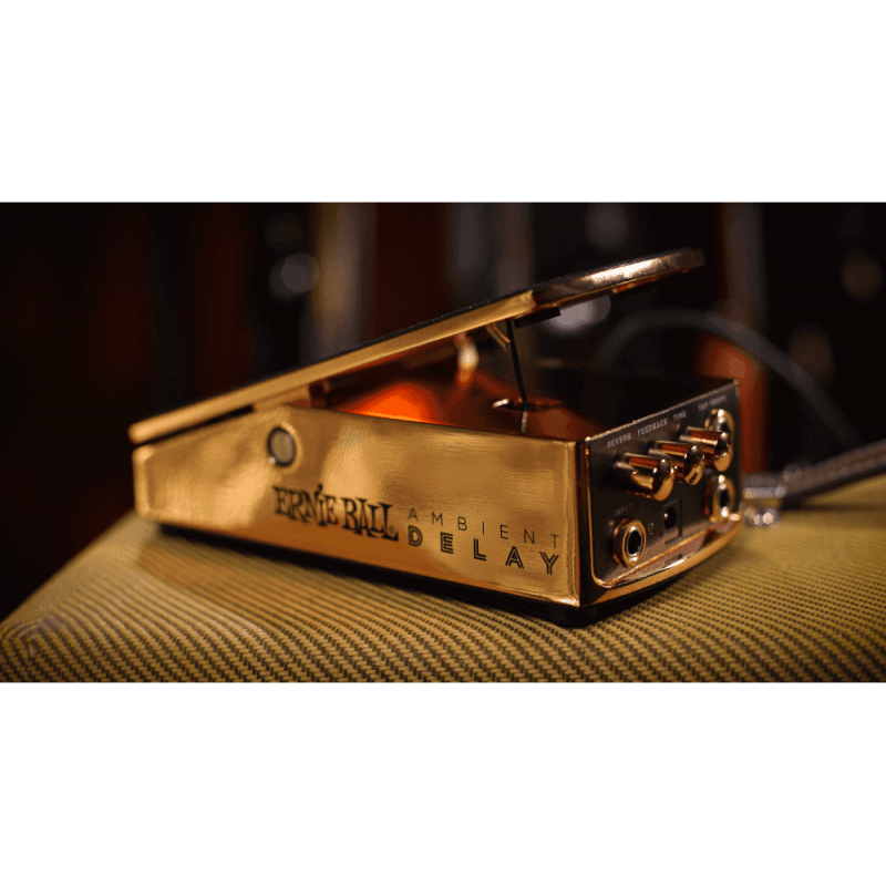 ERNIE BALL PEDAL DELAY