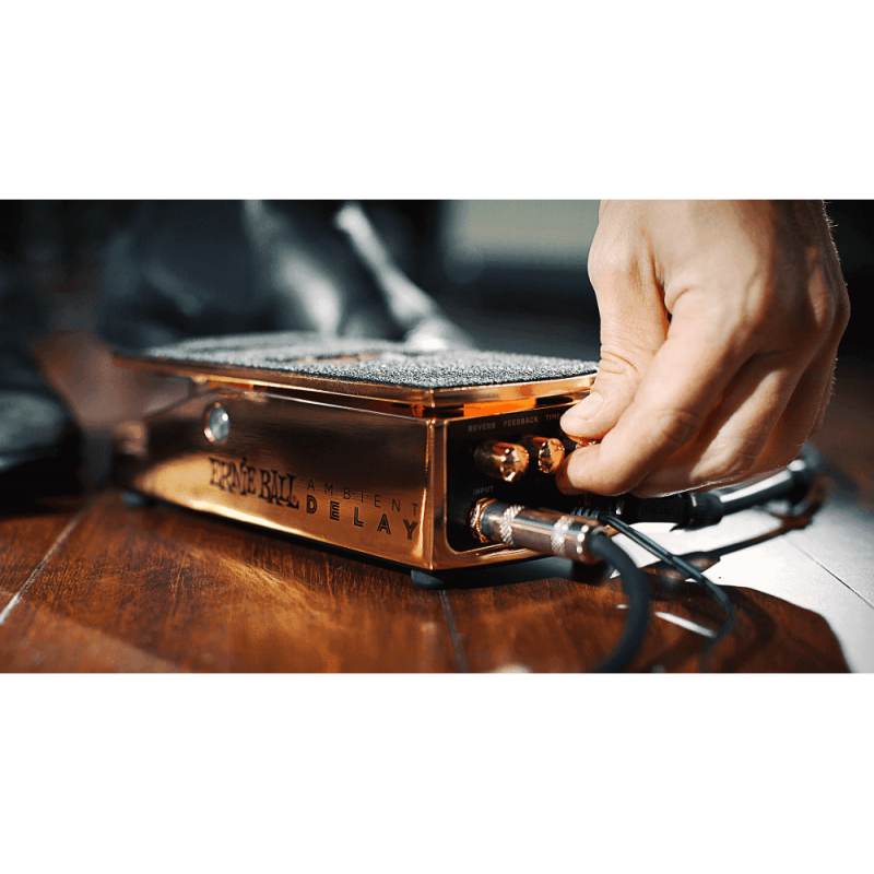ERNIE BALL PEDAL DELAY