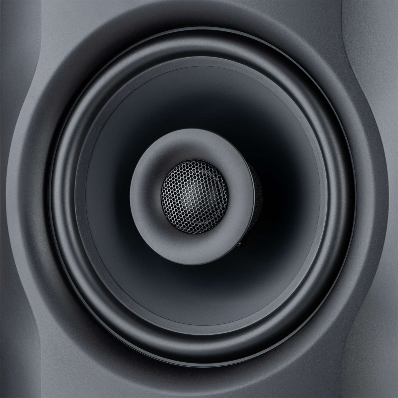 Altavoz del monitor FLUID AUDIO FX80