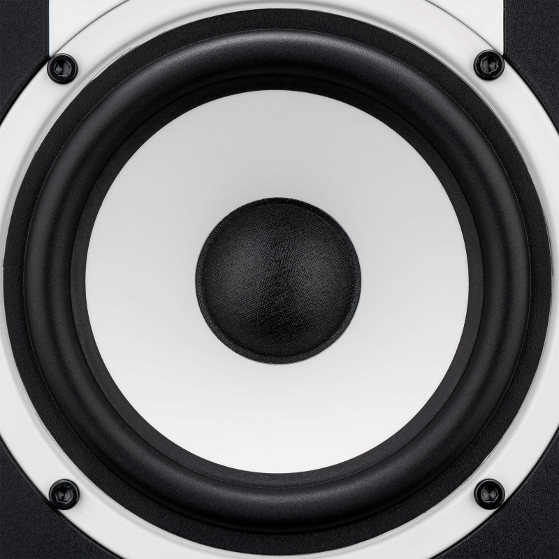 Altavoz del monitor FLUID AUDIO C5 el par