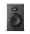 Enceinte de monitoring FOCAL SHAPE 65