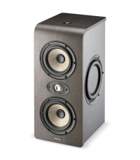 FOCAL SHAPE TWIN 