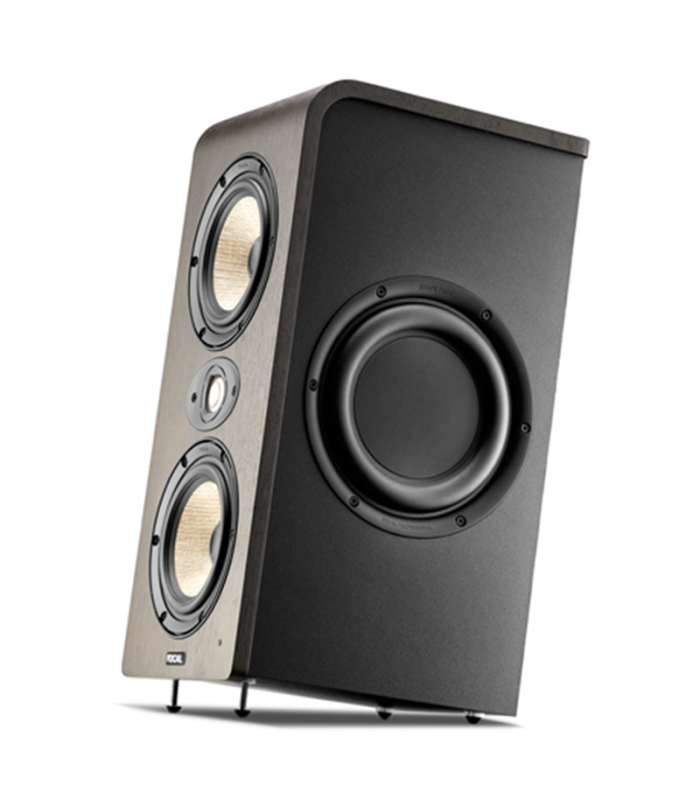 FOCAL SHAPE TWIN 