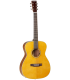 TANGLEWOOD TW40 O AN E Gaucher 