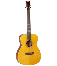 TANGLEWOOD TW40 O AN E Gaucher 