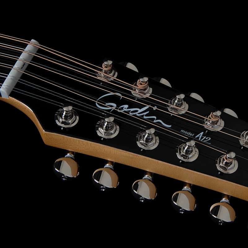 Godin A12 Black