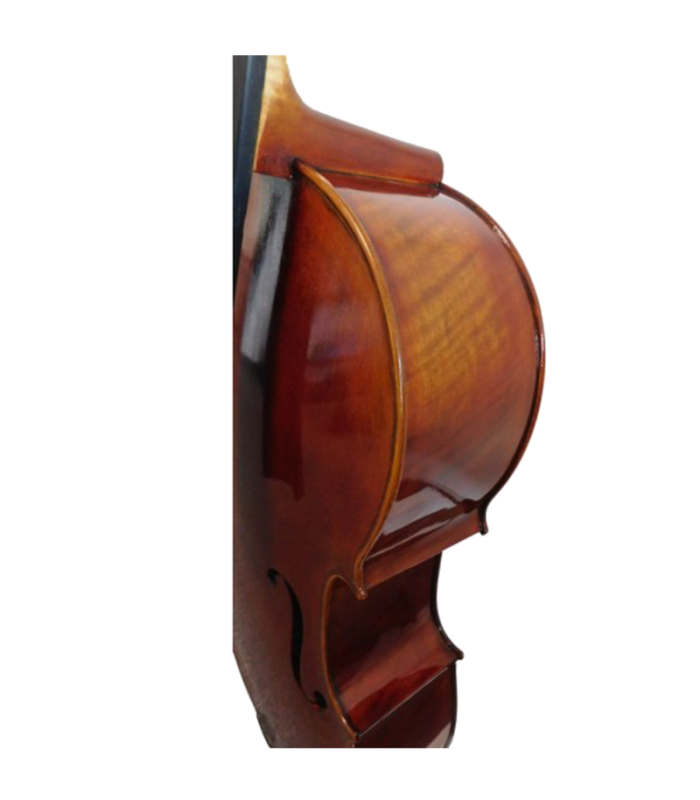 Violoncelle4/4 - ALCALYA - Modèle conservatoire (ALCALYA-AC44) 