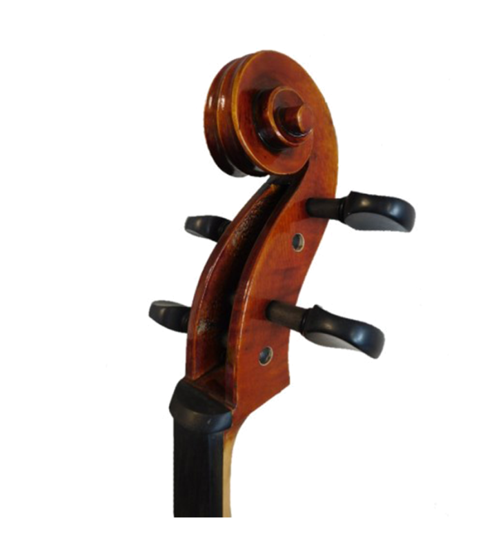 Violoncelos4/4 - ALCALYA - Modèle conservatoire (ALCALYA-AC44) 