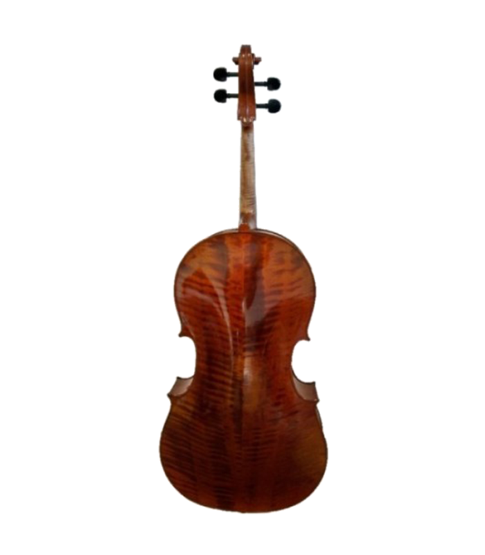 PASSION TRADITION VIOLONCHELO 4/4 CE02-B 