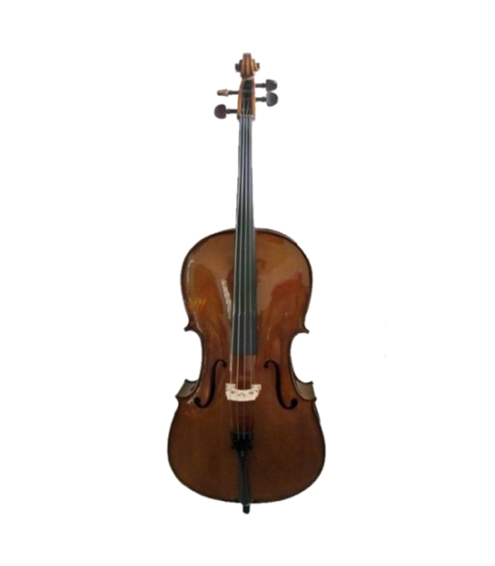 Cello 4/4  Stentor modelo STUDENT I  (C1102-4)