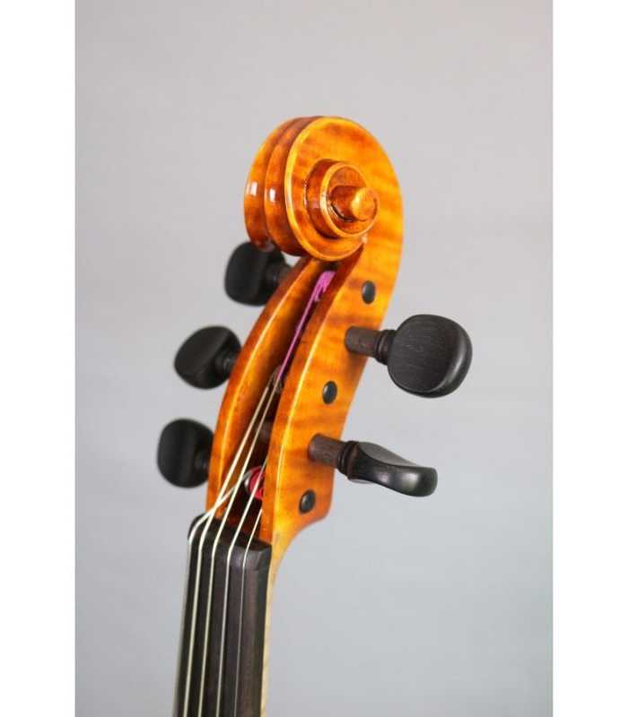 Violon 4/4 électrique 5 cordes RG-EVIOLINS CLV05