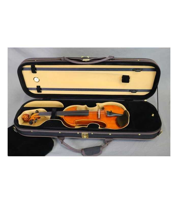 Violon 4/4 électrique 5 cordes RG-EVIOLINS CLV05