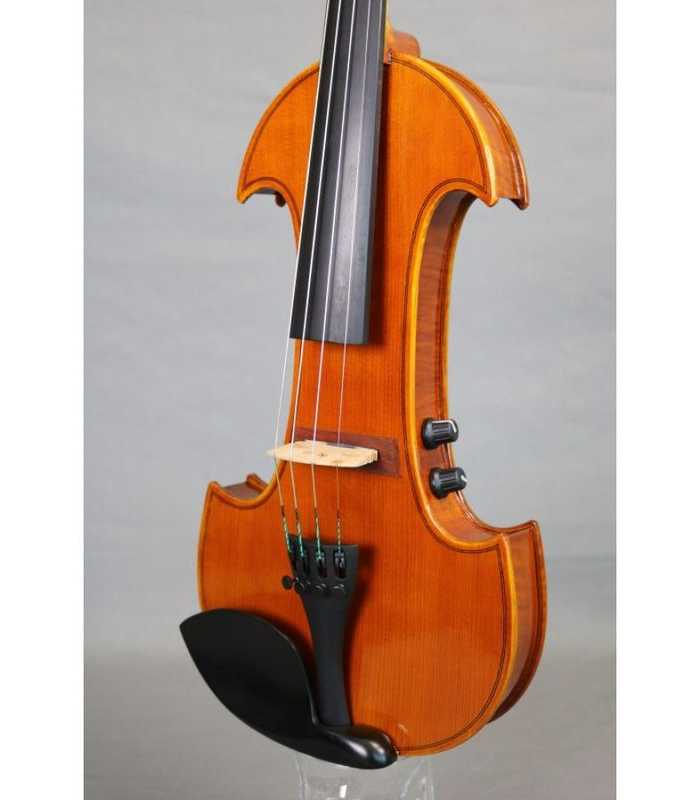 Violín 4/4 eléctrico 4 cuerdas RG-EVIOLINS CLV04