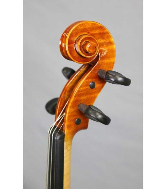 Violon 4/4 électrique 4 cordes RG-EVIOLINS CLV04