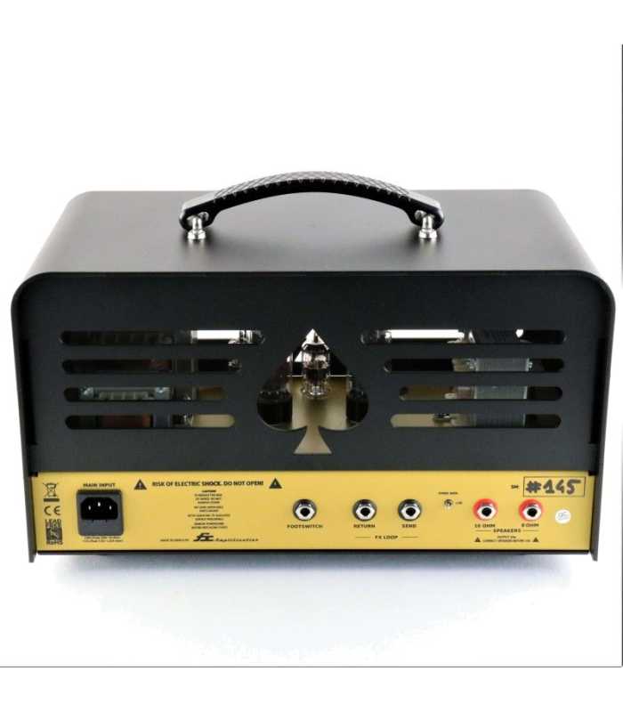 Cabezal de amplificador de guitarra a válvulas Ace Amplification Colt