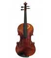 Viola 39.5cm - PASSION TRADITION - Calidad A (AL01-39A)