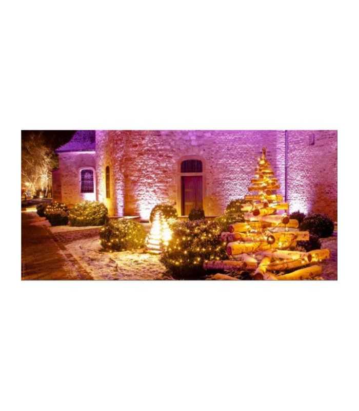 PAR LED autonome 9 x 8 W Nicols MOOVE PAR 908 IP