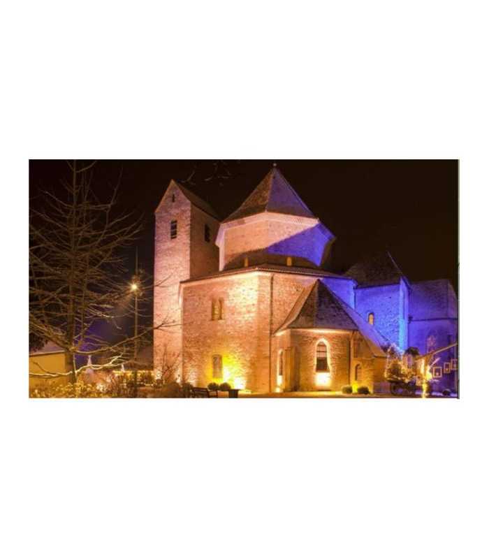 PAR LED autonome 9 x 8 W Nicols MOOVE PAR 908 IP