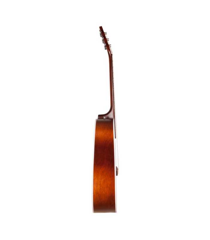 Guitare acoustique SEAGULL Entourage Autumn Burst