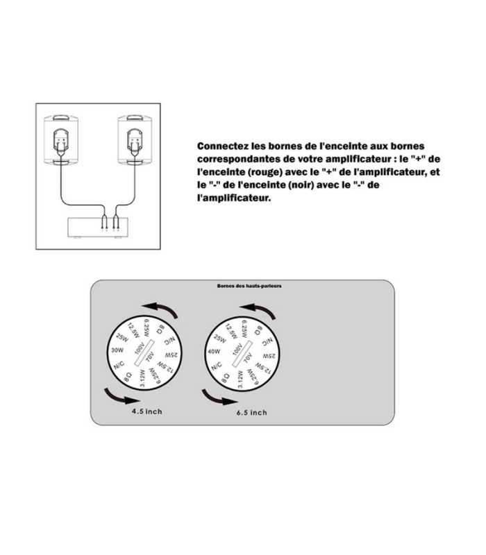 Enceinte extérieure Noire IP66 Definitive Audio SKIFF 708B IP66