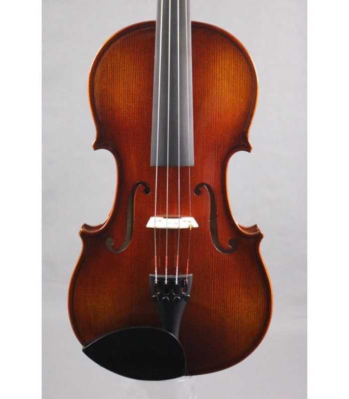 AK LORENZ violín 4/4 modelo conservatorio (AK-028A)